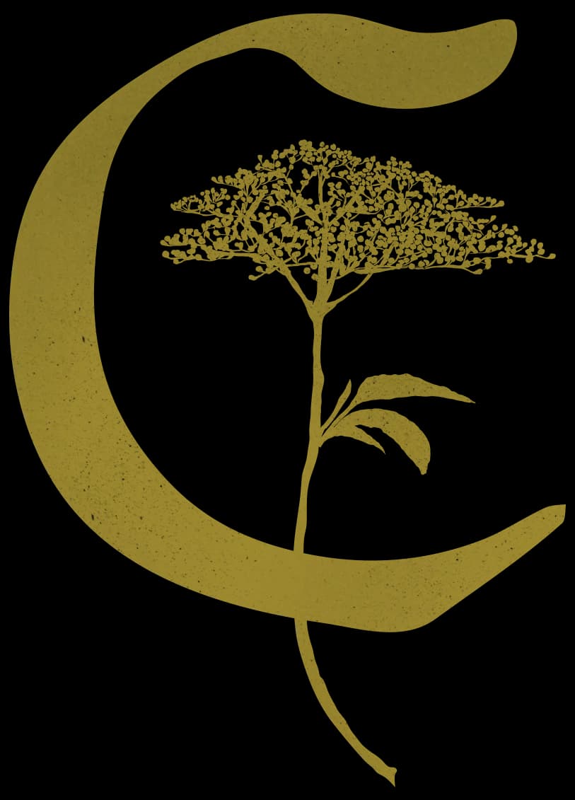 The Corson Building logo